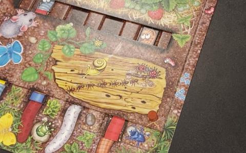 Spieleabend 5
